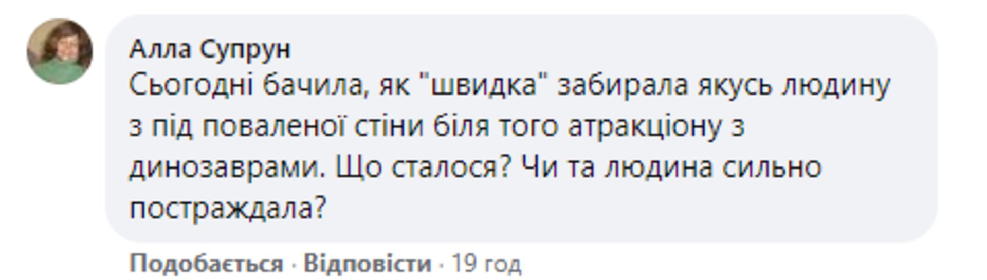 У Львові огорожа Парку динозаврів травмувала жінку