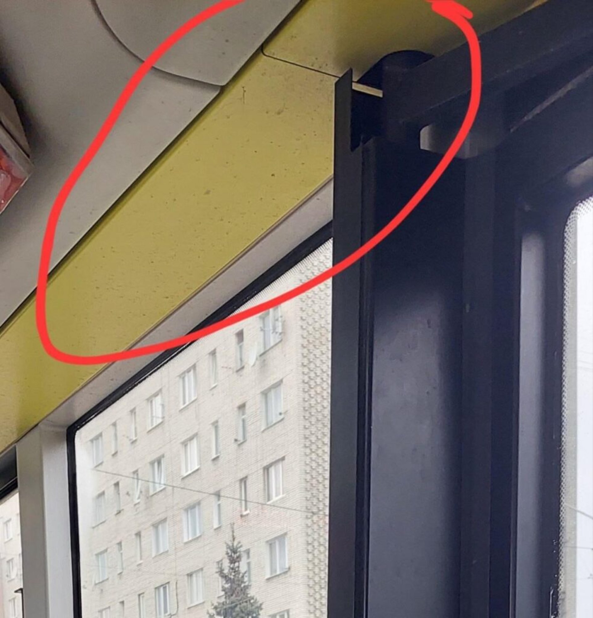 У Львові комунальний перевізник не миє автобуси