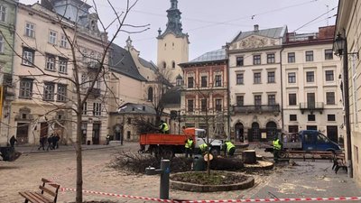 У Львові на площі Ринок зрубали сторічний каштан (ФОТО)