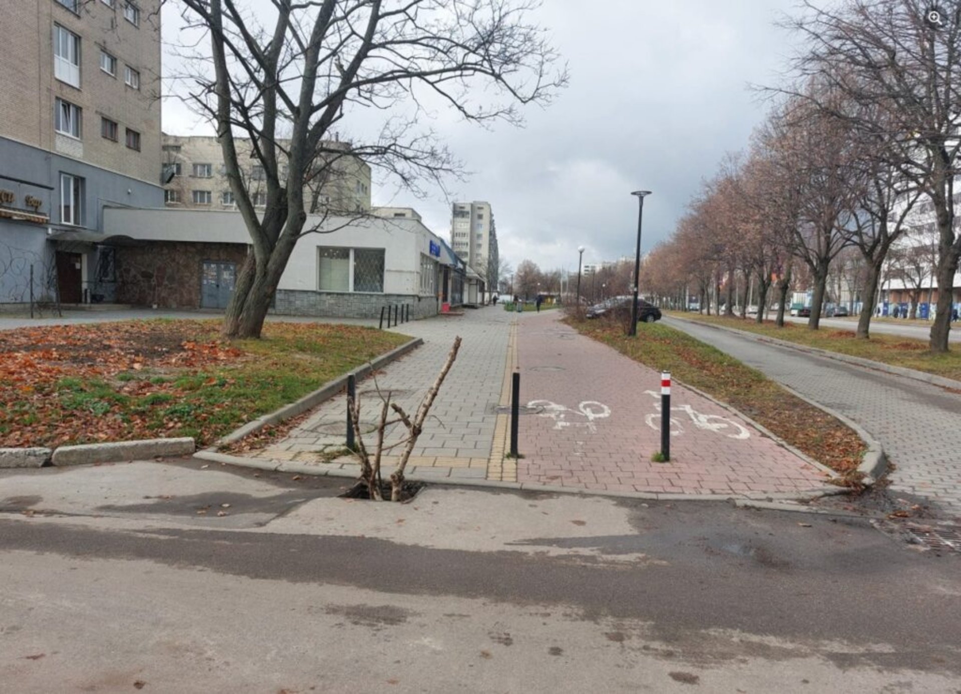 Відкриті люки на вулиці Володимира Великого, фото Львів без корків