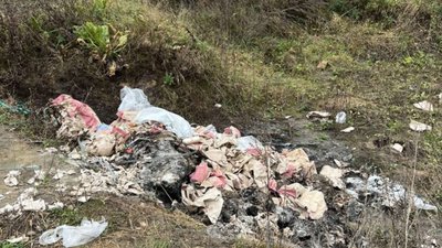 Біля Львова виявили незаконне звалище сміття (ФОТО)