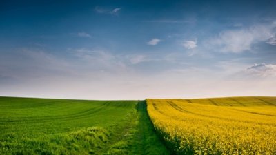 Цього тижня у Львові відбудеться аукціон з продажу права оренди земельних ділянок державної власності