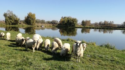 Селекційне господарство «Карпатський водограй» - унікальна можливість порибалити  (ФОТОРЕПОРТАЖ)