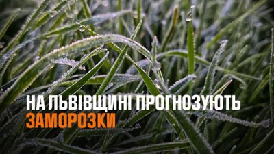 На Львівщині очікують заморозки