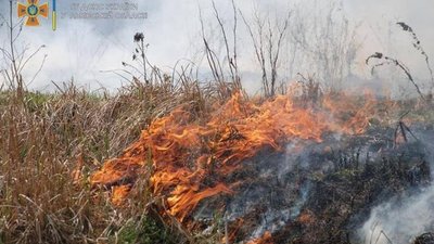 У Буську внаслідок пожежі на відкритій території жінка отримала опіки