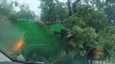 У Львові внаслідок буревію одна людина травмувалась (ВІДЕО)