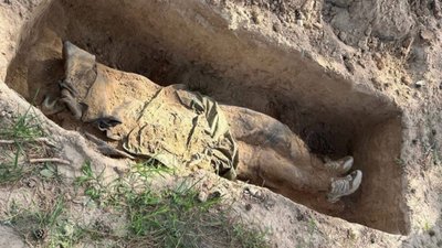 На Київщині виявили могилу окупанта з написом "заблукав на навчаннях"