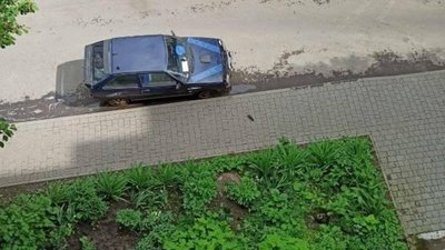У Львові продовжують господарювати щурі (ФОТО)