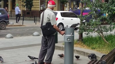 У Львові чоловік втамував спрагу голуба (ФОТО)