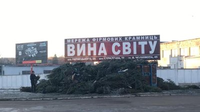 У Львові продавці кинули просто неба сотні ялинок (ФОТО)