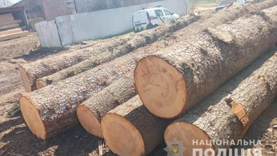 У Бориславі поліцейські виявили немарковану деревину