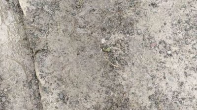 У Львові посеред вулиці стріляв чоловік