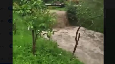 На Львівщині на трасі пливли автомобілі (ВІДЕО)