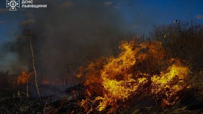 Рятувальники Львівщини ліквідували 13 пожеж сухостою