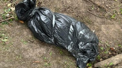 Забив собаку до смерті дерев'яною палицею: у Львові поліцейські відкрили кримінальне провадження