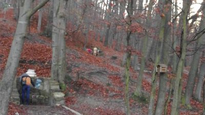 На Погулянці оголені невідомі особи купаються у джерелі, звідки люди набирають воду