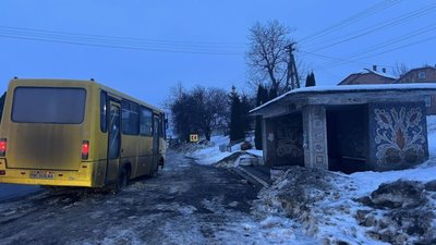 Львівська область розпочала облік мозаїчних зупинок і фасадів