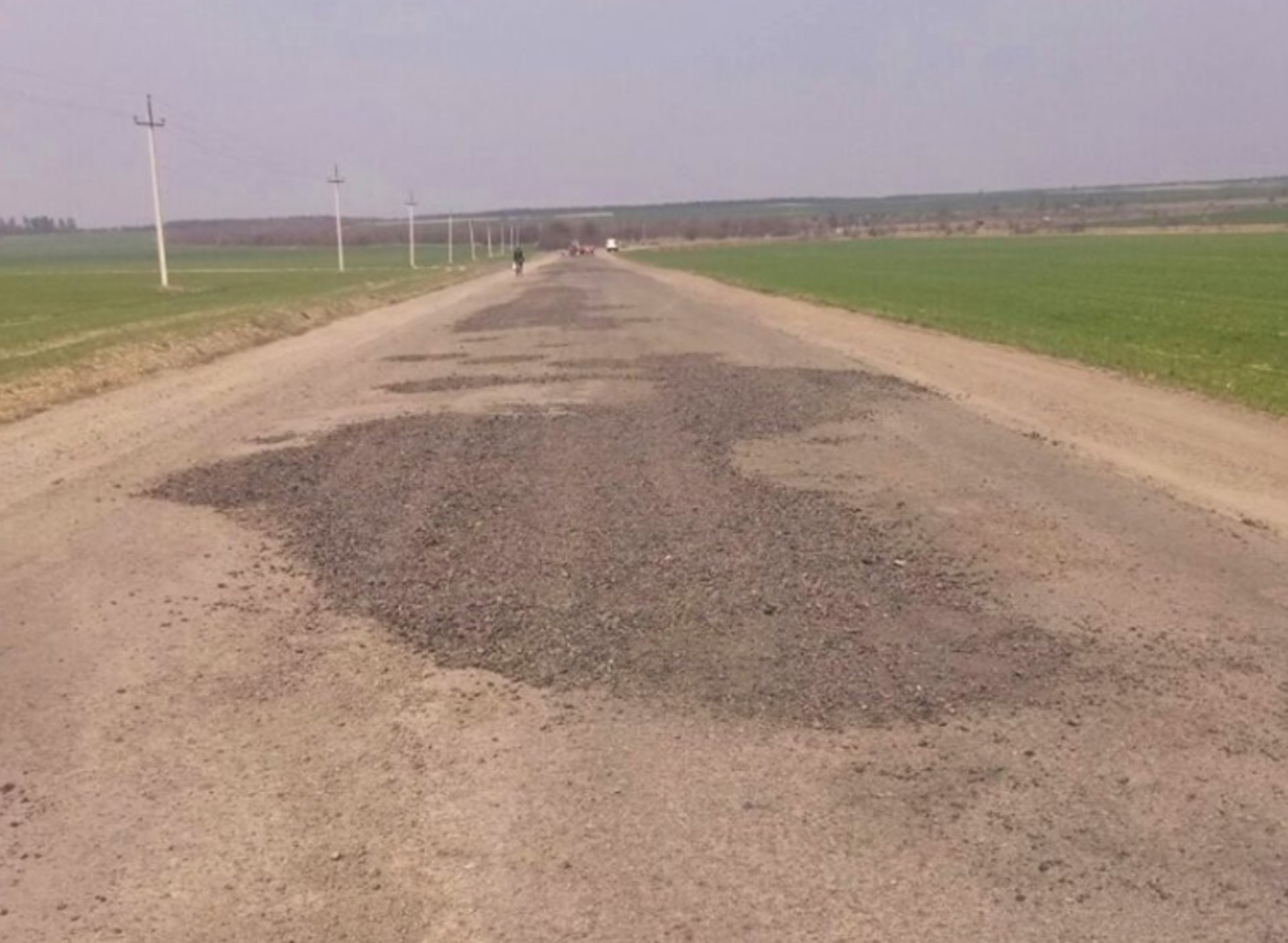 Фото: САД у Львівській області
