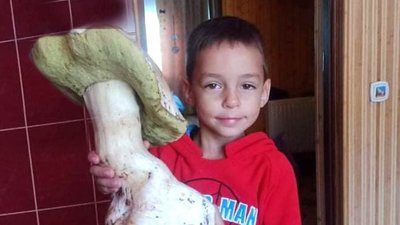 На Львівщині знайшли велетенський гриб (ФОТО)
