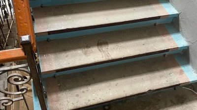 Комунальники Садового три тижні не прибирають у центрі Львова (ФОТО)