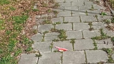 У Львові двірники перестали прибирати вулиці міста (ФОТО)
