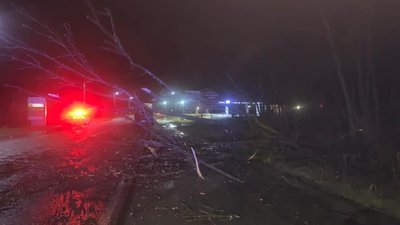 На Львівщині буревій повалив дерева і знеструмив 70 населених пунктів (ФОТО)