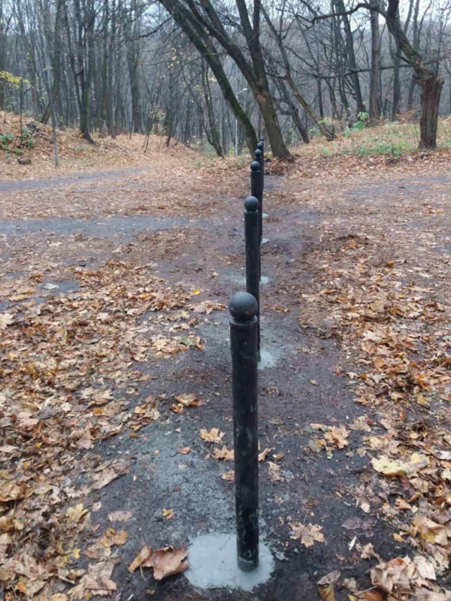 Компанію, яка розпочала будівництво у Снопківському парку Львова, оштрафують, фото Любомир Зубач
