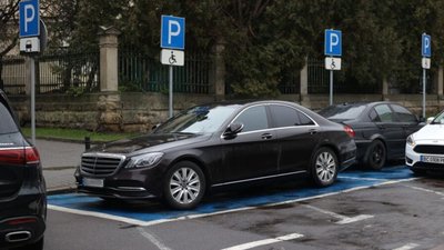 У Львові через кожні 5 машин хочуть садити дерево
