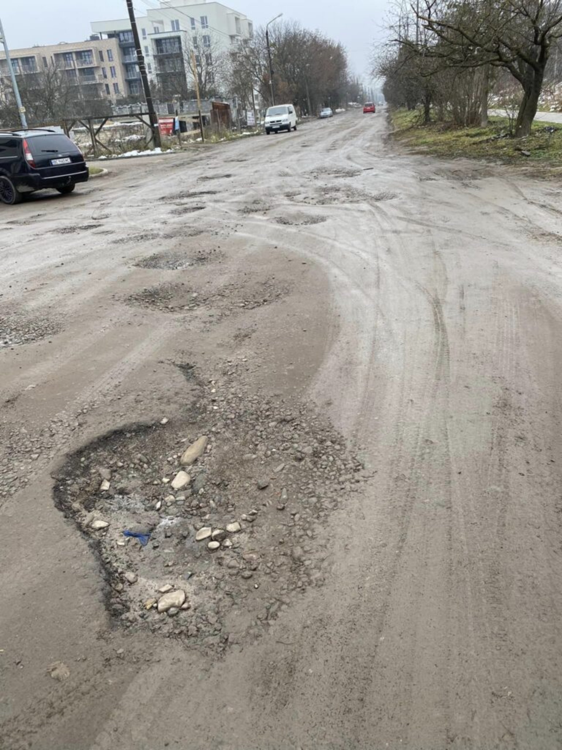 Львів’яни скаржаться на жахливу дорогу на одній з вулиць