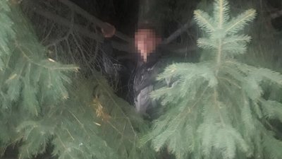 У Львові грабіжник втікаючи від копів, видерся на ялинку (ФОТО)