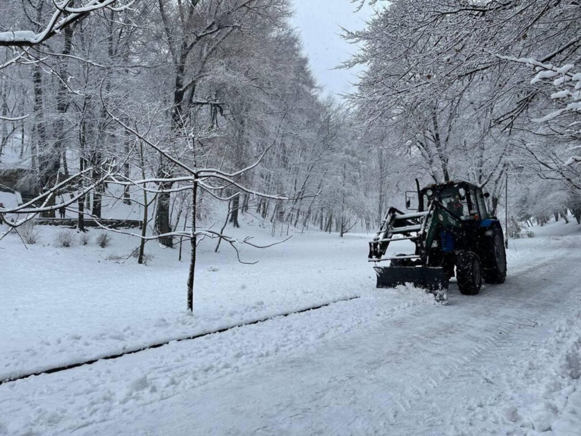 У Львові закликають уникати прогулянок у парках, фото Стрийського парку