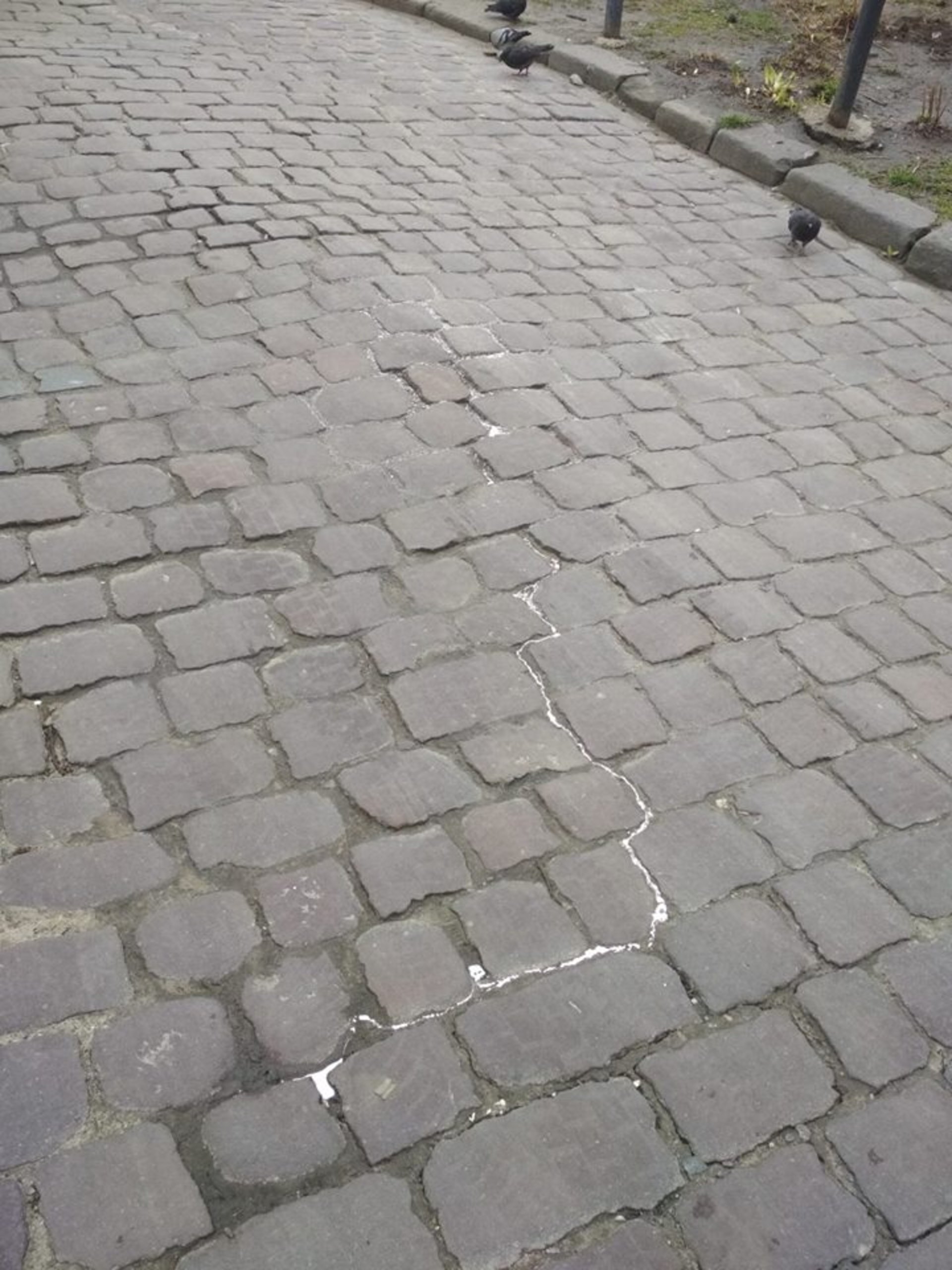 У Львові поблизу смітників знайшли кілограм ртуті
