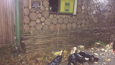 У львівський парк «Знесіння» невідомі підкинули чотирьох лелек замотаних у сміттєві пакети