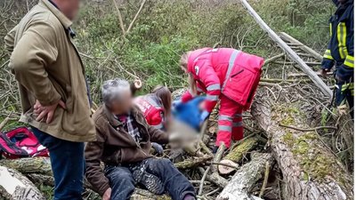 На Львівщині на двох чоловіків впало дерево