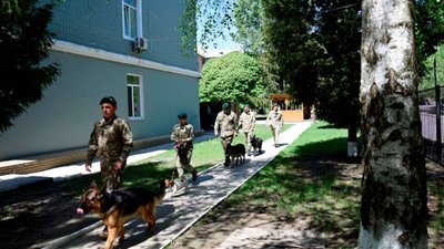 До Харківського прикордонного загону прибуло поповнення чотирилапих помічників з Львівщини