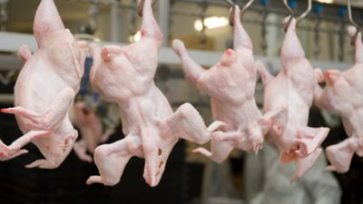 Україна відновлює експорт м‘яса птиці до ЄС