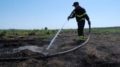 Близько двох сотень рятувальників ліквідовують масштабну пожежу торфу біля Львова