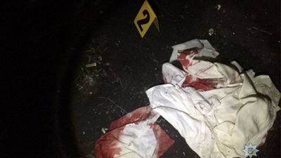 Львівський суд взяв під варту вбивць юнака з ромського табору