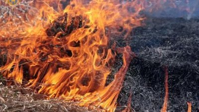 Мешканців Львівщини закликають не спалювати суху траву