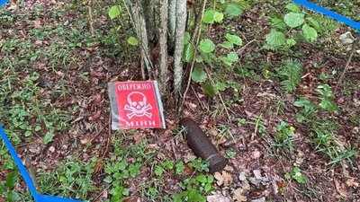 На Львівщині піротехніки ДСНС продовжують знищувати застарілі боєприпаси