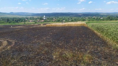 На Львівщині під час пожежі сухої трави травмувалась жінка (ФОТО)