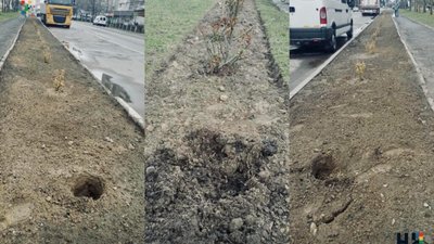 У Новояворівську орудують вандали
