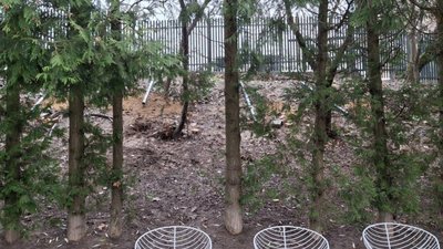 У Львові у парку захопили територію