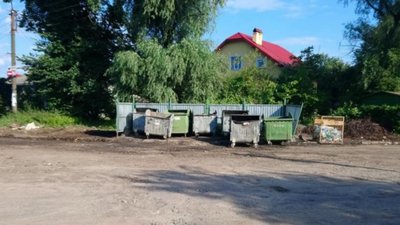 У сміттєвому баку в Дрогобичі виявили дохлу корову