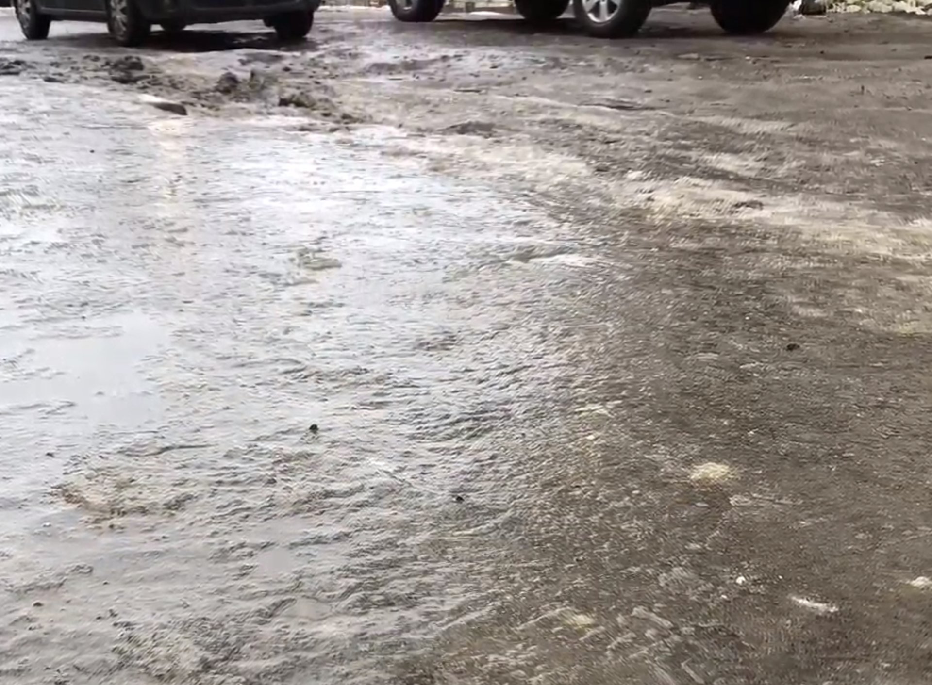 Скриншот відео