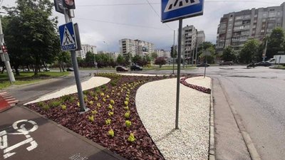 У Львові із клумби вкрали декоративний камінь і квіти (ФОТО)