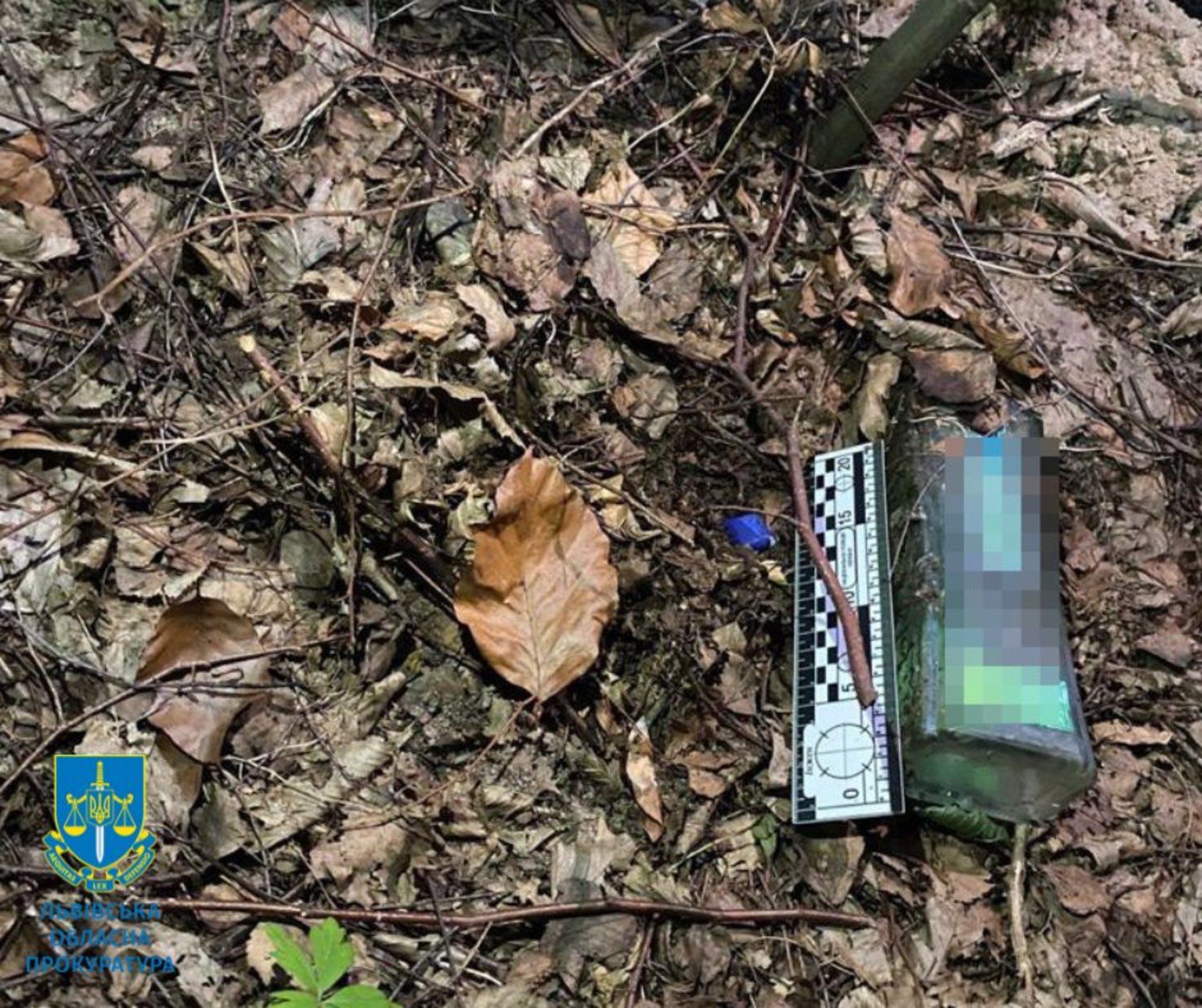 У Львові 19-річний чоловік робив закладки у парках