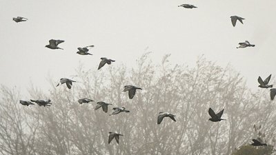 У Львові оголосили штормове попередження