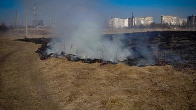 На Львівщині місцеві мешканці зайнялись улюбленою справою