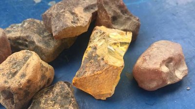 Майже 25 кілограмів бурштину виявили прикордонники на Закарпатті
